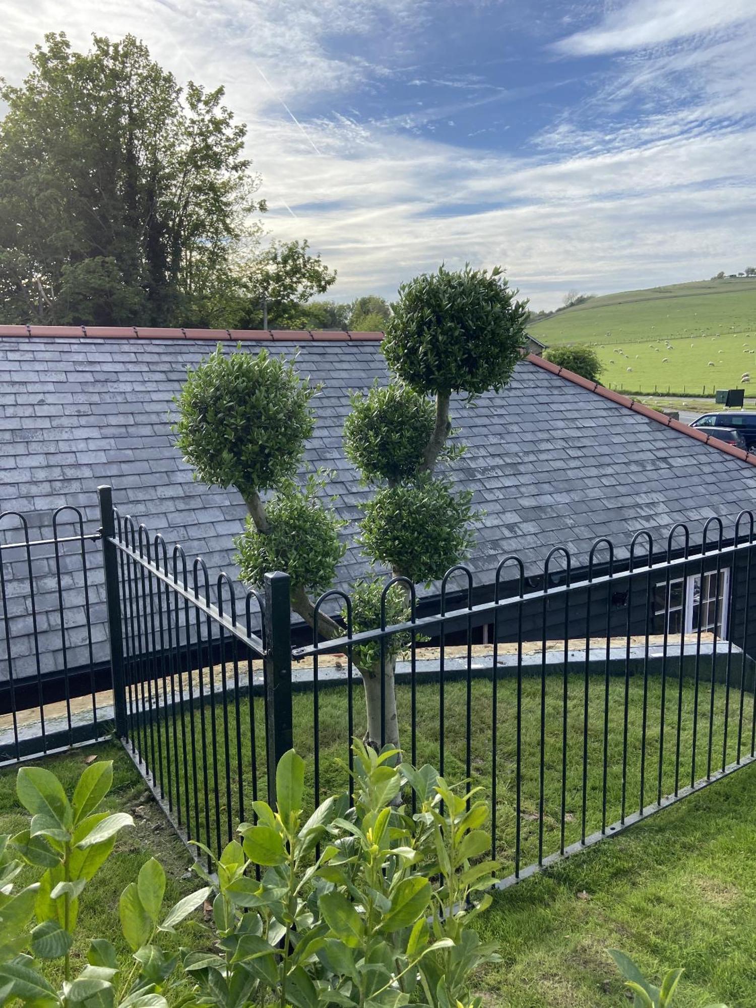 The Lydden Bell Bed & Breakfast Bagian luar foto